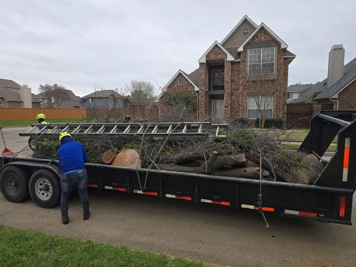 Expert Tree Pest Control with proper safety equipment in East Palatka
